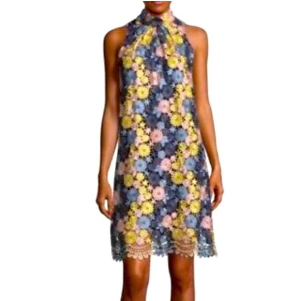 ERIN by Erin Featherstone size 8, sleeveless, lace dress, new with tags.